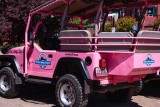 Pink Jeep Tours