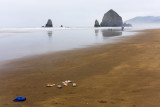 Haystack Rock