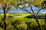 Rutherford Area Of Napa Valley