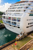 Mule at stern of Norwegian Sun