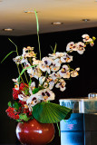 Norwegian Pearl, Blue Lagoon Snack Restaurant