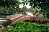 Hilton Waikoloa Village