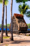 Pu'uhonua o Honaunau National Historical Park (City Of Refuge)