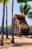 Puuhonua o Honaunau National Historical Park (City Of Refuge)