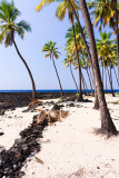 Pu'uhonua o Honaunau National Historical Park (City Of Refuge)
