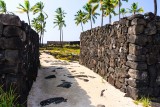 Pu'uhonua o Honaunau National Historical Park (City Of Refuge)