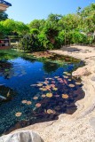 Hilton Waikoloa