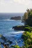 On the road to Hana