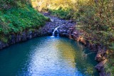 Roadside Pool - Road to Hana