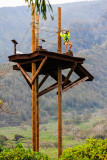 Zip Line