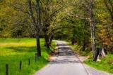 40D_16158_LR-2