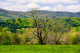 40D_16131_LR