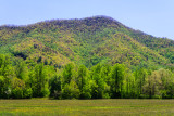 40D_16236_LR