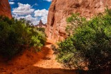 Path At Sand Dune Arch