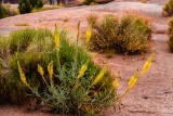 40D_17329_LR