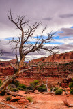 40D_17295_LR