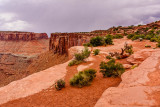 40D_17357_LR