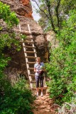 The trail goes up the ladder