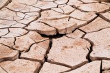 Roadside, Badwater Basin