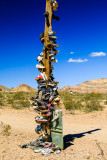 Shoe Tree