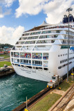 Mule at stern of Norwegian Sun