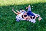 Santa Barbara Courthouse Lawn