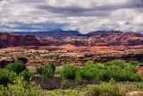40D_17416_LR