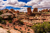 40D_17428_LR