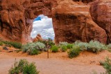 Pine Tree Arch