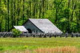 40D_16237_LR