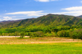 40D_16161_LR