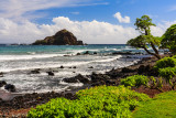 Alau Island Seabird Sanctuary