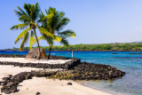 Pu'uhonua o Honaunau National Historical Park (City Of Refuge)
