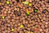 Macadamia Nuts waiting to be processed