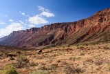 Colorado River Canyon