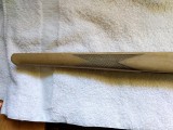 IMG_20200409_151158261.jpg
