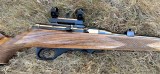IMG_20200906_161903448.jpg