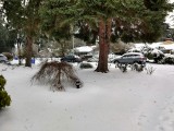 IMG_20210215_091441686_HDR.jpg