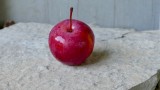 A good-sized crabapple