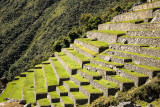 Macha Picchu Adventure