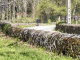 Heading north on country roads from Ponte de Lima