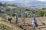 Vineyards and grounds at Pao de Calheiros Inn