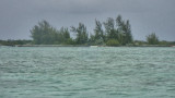 Mangrove Cay