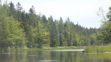 P7300028.jpg
