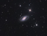 NGC 1350 in Fornax