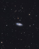 NGC 908 in Cetus