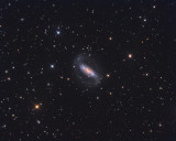 NGC 1808 Galaxy in Columba