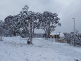 Snow at Eagleview