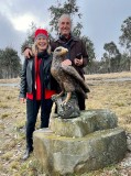 The Eagleview Eagle