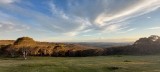 New phone camera - view from the deck, looking due south
